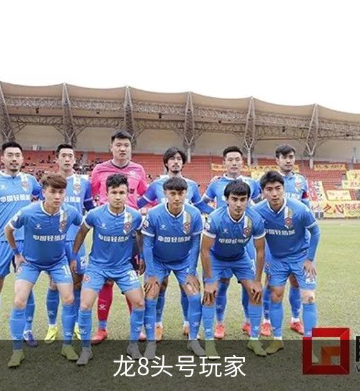 龙8头号玩家简介